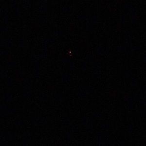 Meet your Posher, Teagan